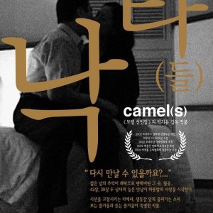 Camel(s) (2001)