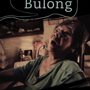 Ang paghihintay sa bulong (2012)