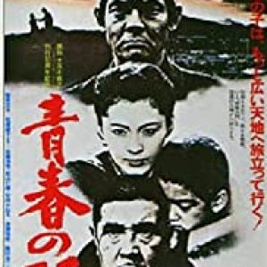 Seishun No Mon (1981)