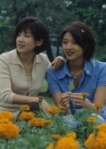 Woman Next Door Korean Drama photo