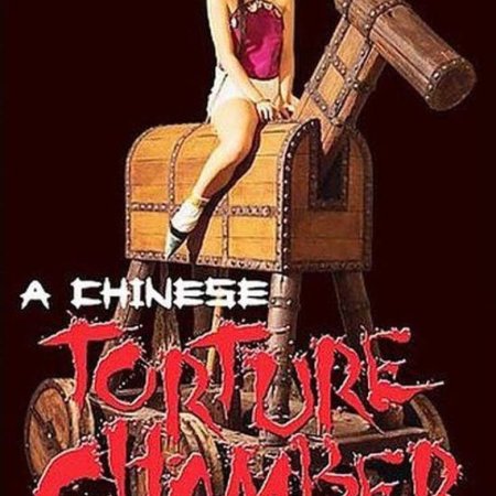 A Chinese Torture Chamber Story (1994)