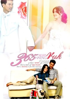 365 Dias de Amor (2010) poster