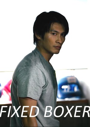 Fixed Boxer poster