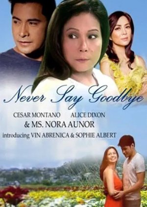 Never Say Goodbye (2013) poster