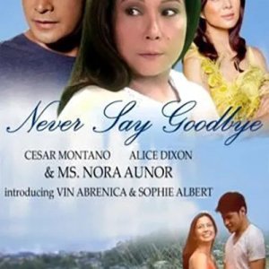 Never Say Goodbye (2013)
