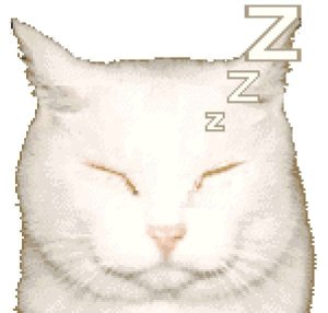Meow