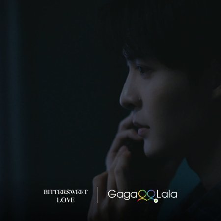Bittersweet Love (2026)
