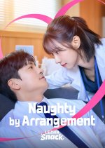 Naughty by Arrangement Korean Drama(2026) photo