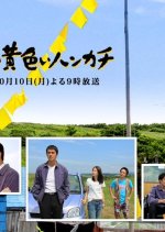 Shiawase no Kiiroi Hankachi Japanese Drama(2011) photo