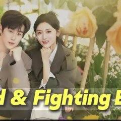 Dear Director Wen Chinese Drama(2025) photo