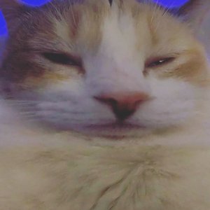 evan