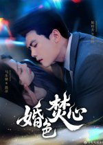 Hun Se Fen Xin Chinese Drama(2025) photo