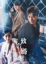 Fatal Marriage Chinese Drama(2023) photo
