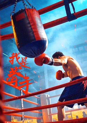 I Am a Boxer poster