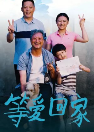 Deng Ai Hui Jia poster