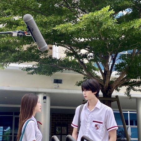 Summer Night (2024)