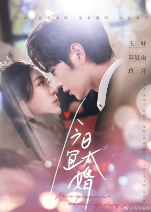 Auspicious Wedding Day (2025) poster