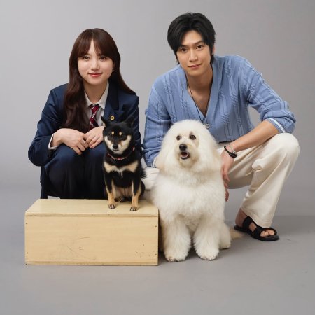 Love Is for the Dogs (2025)