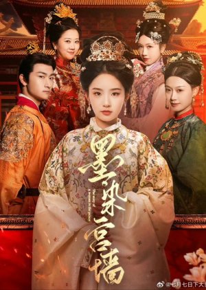 The Story of a Woman in the Palace poster