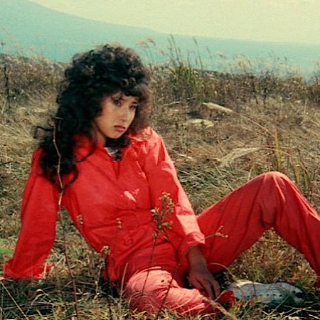 The Kamikaze Adventurers (1981)