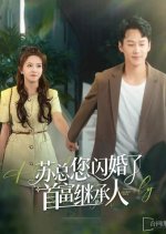 Flash to a Wealthy Family Chinese Drama photo