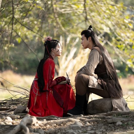 The Blossoming Love (2025)