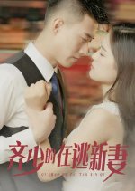 Qi Shao De Zai Tao Xin Qi Chinese Drama photo