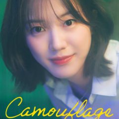 Camouflage Korean Drama(2024) photo