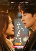 Bloom in the Shadows