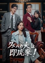 The True CEO's Revenge: My Cheating Husband Japanese Drama(2026) photo