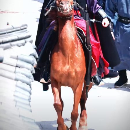 The Palace Stewardess ()