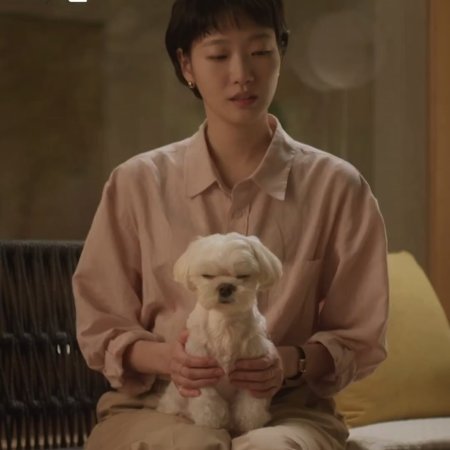 Yumi's Cells Season 3 (2026)