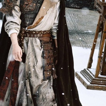 The Palace Stewardess ()