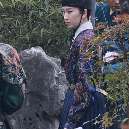 A Ming Dynasty Adventure ()