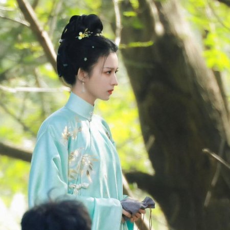A Ming Dynasty Adventure ()