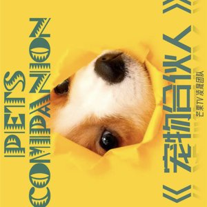 Pets Companion ()