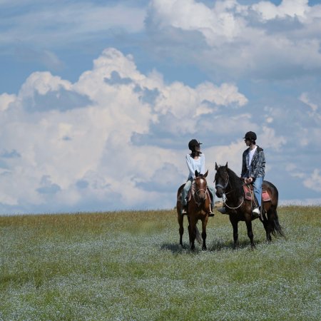 Heart Signal Season 8 (2025)