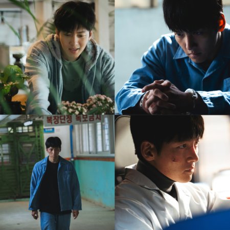 The Manipulated (2025)