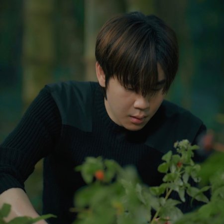 Revamp the Undead Story (2025)