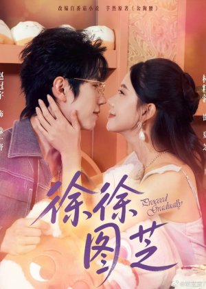 Proceed Gradually (2025) poster