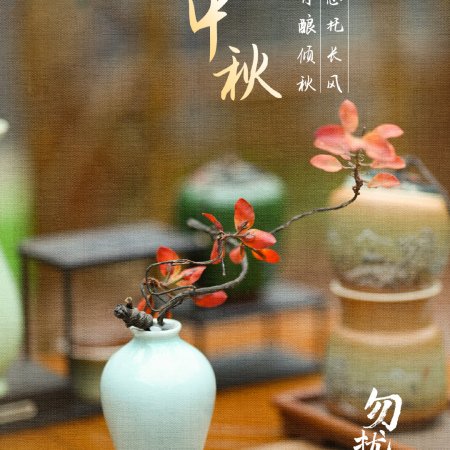 Flying up without Disturb (2025)