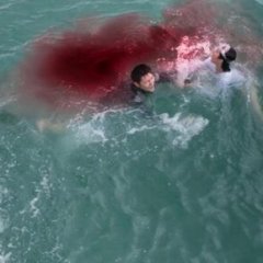 Huge Shark Chinese Movie photo