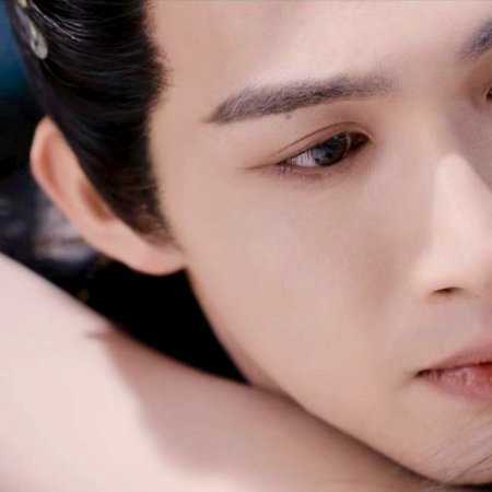 The Blossoming Love (2025)