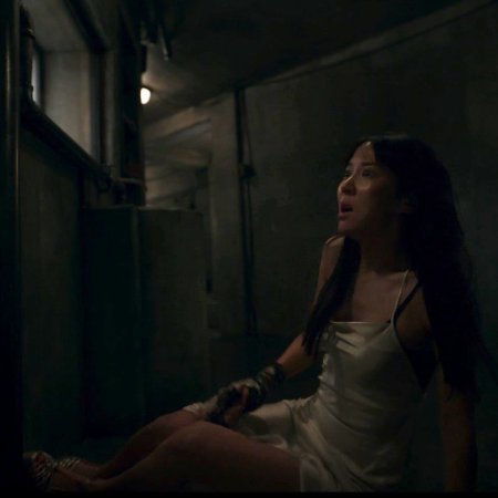 The Hidden Face (2024)