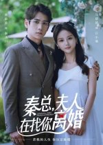 Sir, Your Wife Wants a Divorce Chinese Drama photo