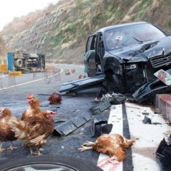 Navigation Korean Movie photo