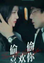 Secretly Like You Chinese Drama photo