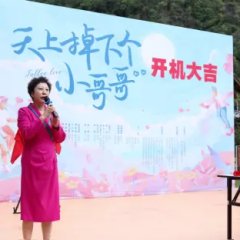 Fallen Love Chinese Drama photo