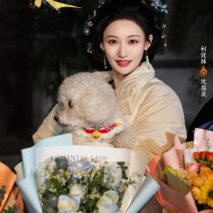 Wild Fire Chinese Drama(2025) photo