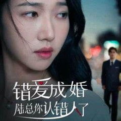 Marriage Due to Wrong Love: Mr. Lu, You Have the Wrong Person Chinese Drama photo